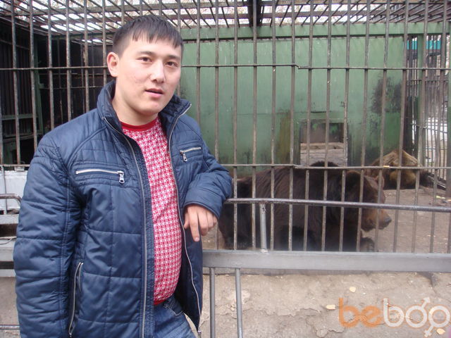 ���������� ���������, ���� ������� Cerik, 39 ���, ������������ ��� ������, ����� � ���������, c�������� ���������