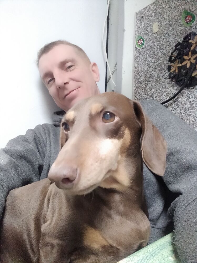 ���������� ����, ���� ������� ����, 44 ����, ������������ ��� ������, ����� � ���������, ���������