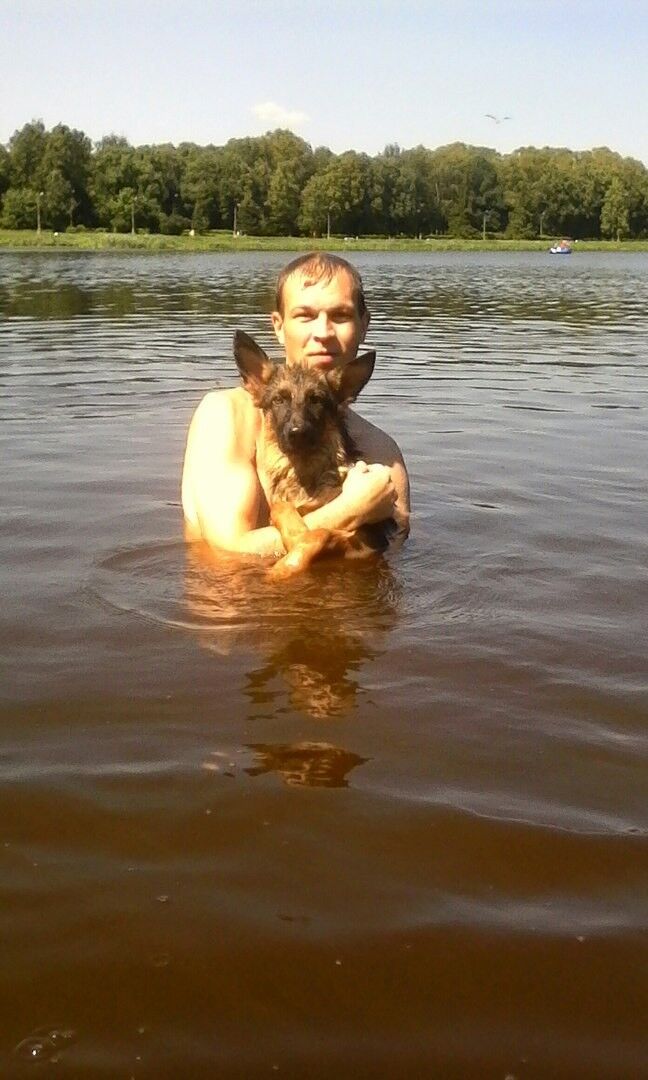 ���� 10094608 ������� ����, 40 ���, ���� ���������� � ������� �����