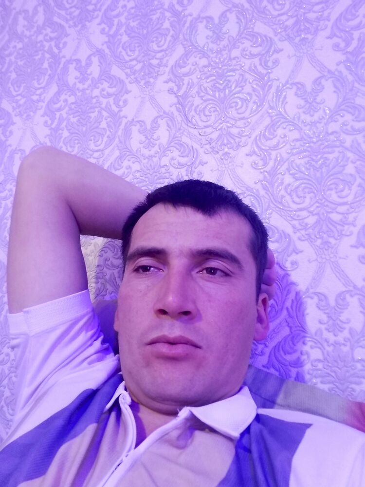  47528538  , 28 ,    -