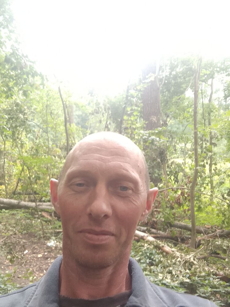  53431888  , 42 ,    