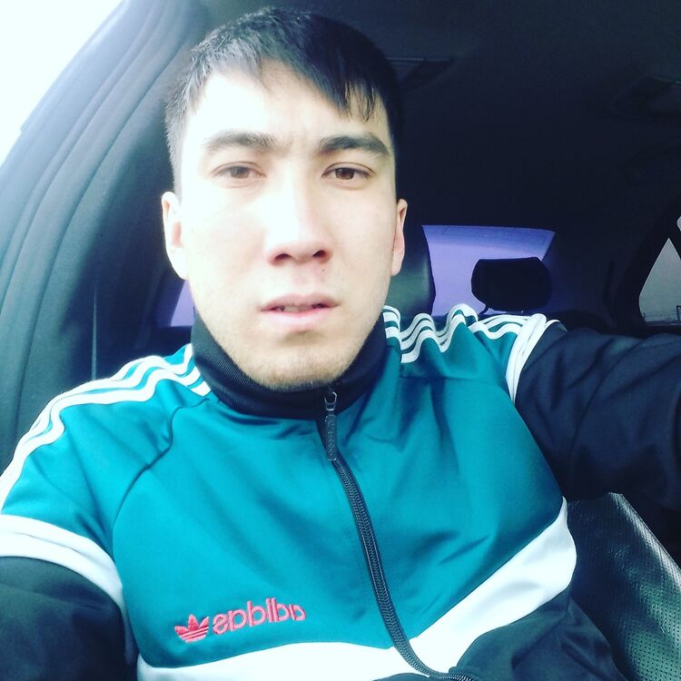 ���� 8064808 ������� �����, 33 ����, ���� ���������� � ��������