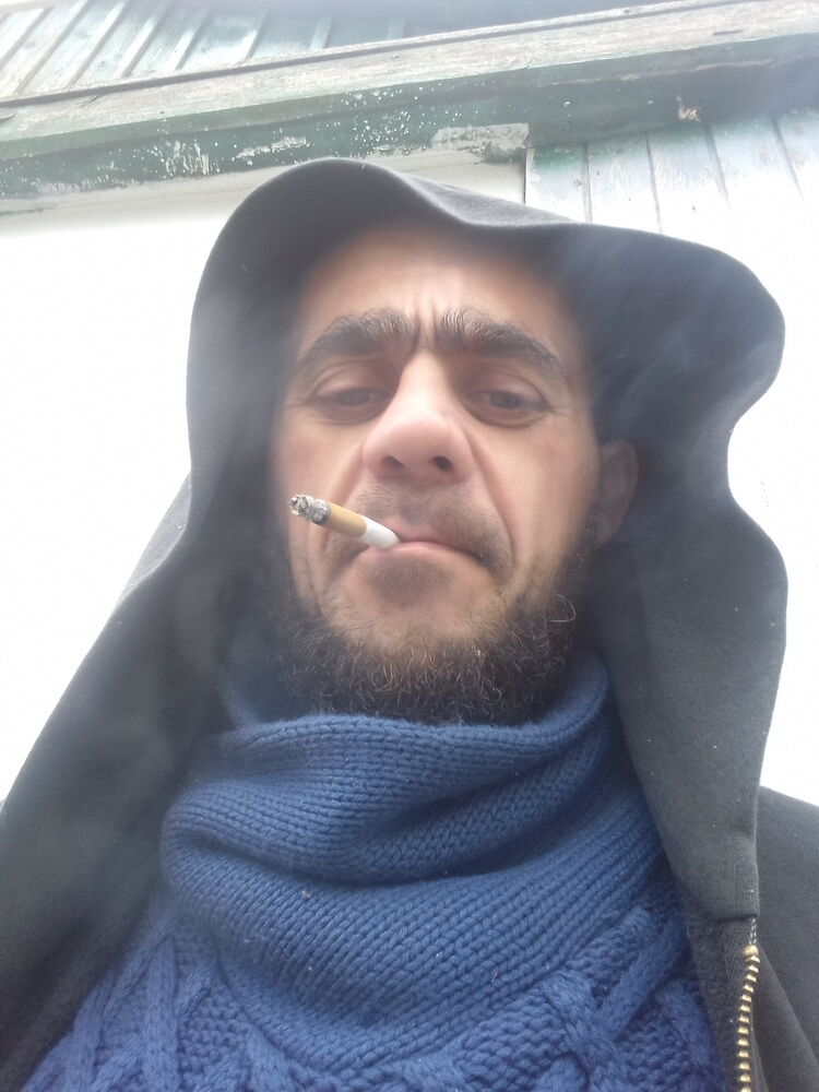  24868678  , 41 ,    