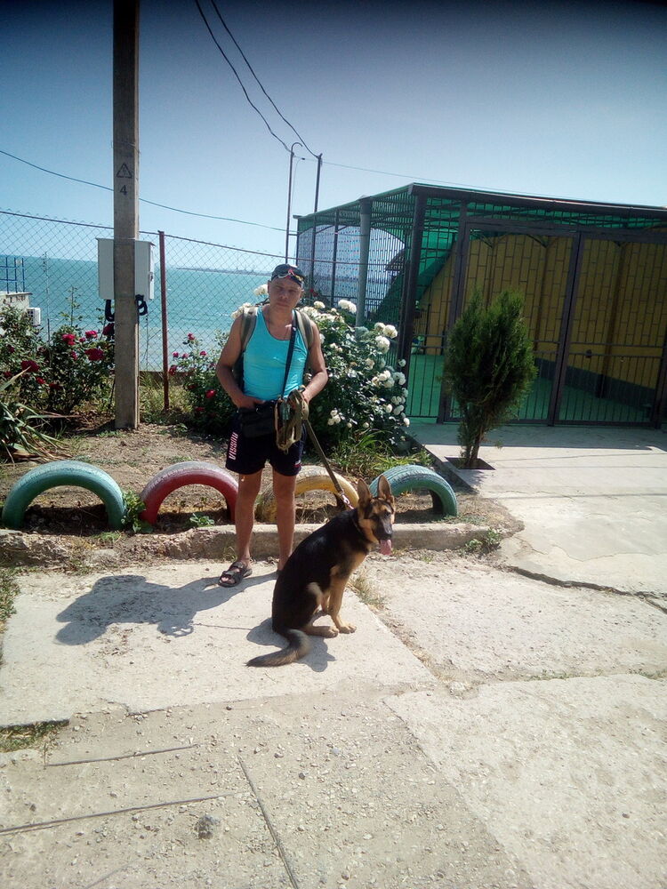  ,   , 51 ,   