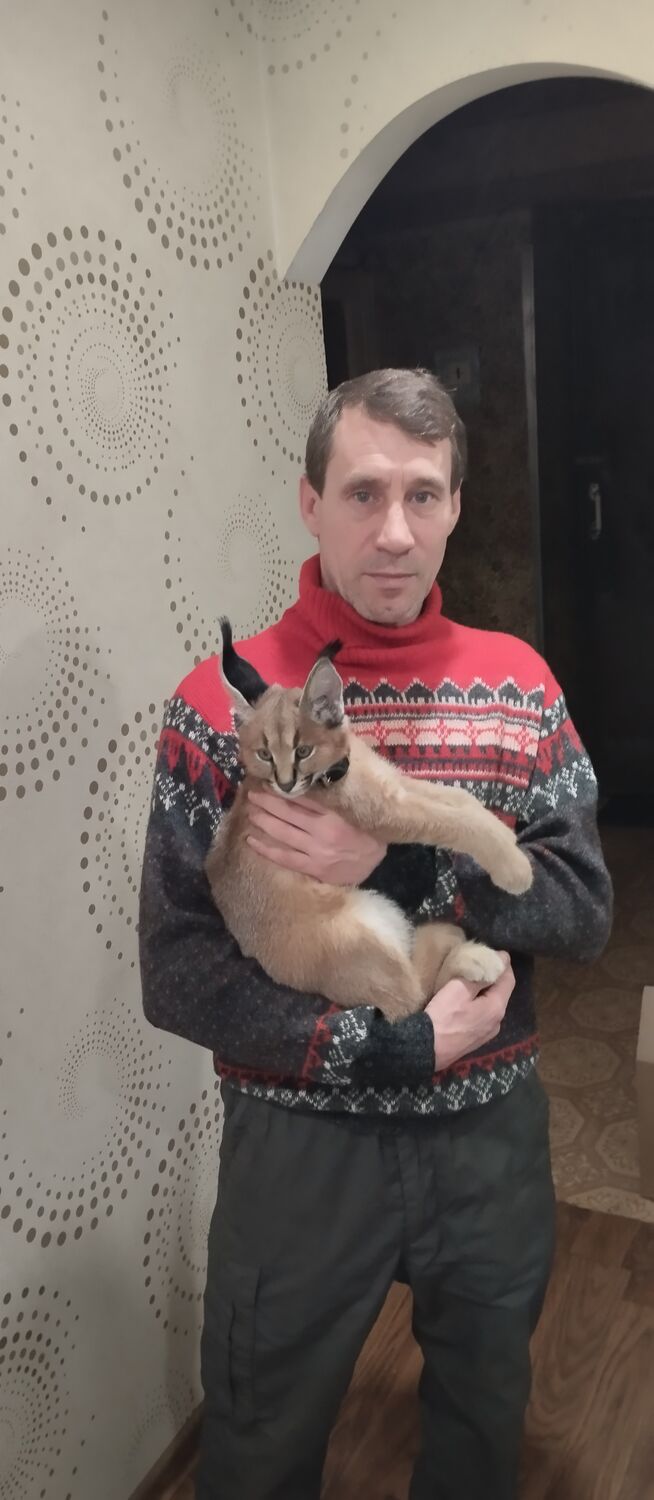  ,   , 51 ,   ,   