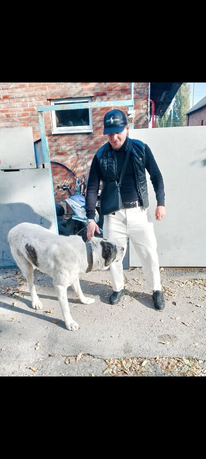 ���������� ������-��-����, ���� ������� RAMA, 30 ���, ������������ ��� ������, ����� � ���������