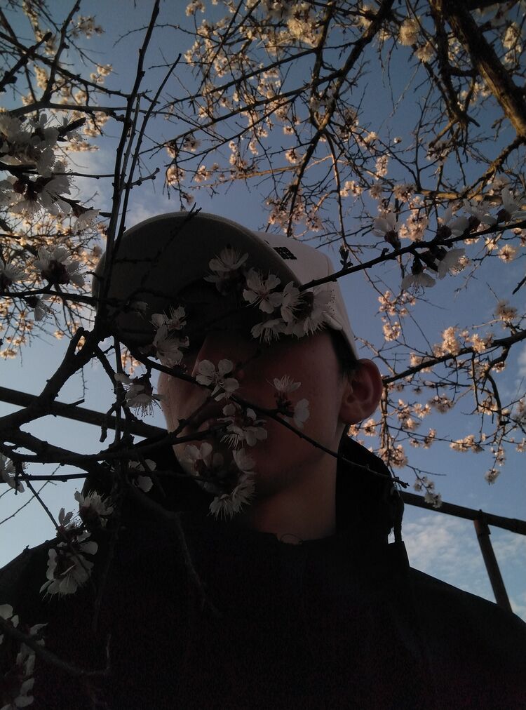 ���� 42444188 ����� ���������, 23 ����, ���� ���������� � ���������