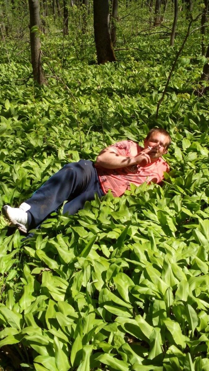 ���������� �����, ���� ������� ����, 36 ���, ������������ ��� ������, ����� � ���������, c�������� ���������