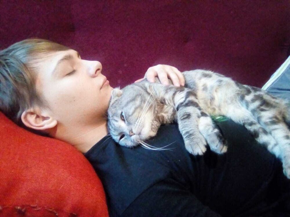 ���������� ������, ���� ����� ����, 24 ����, ������������ ��� ������, ����� � ���������, c�������� ���������