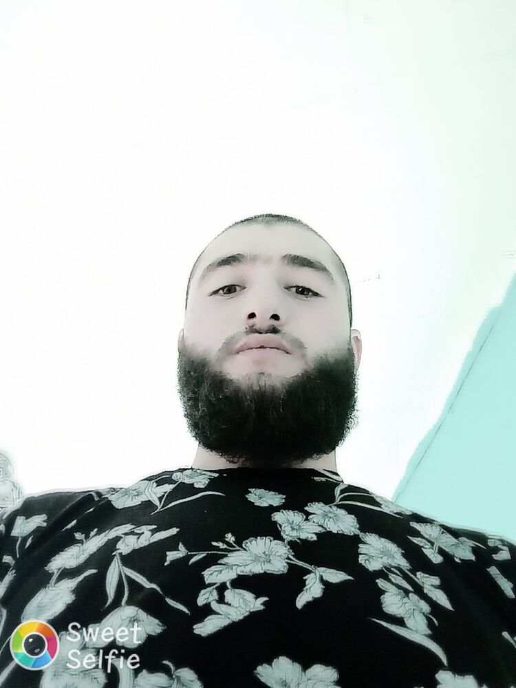  31655768   , 28 ,    