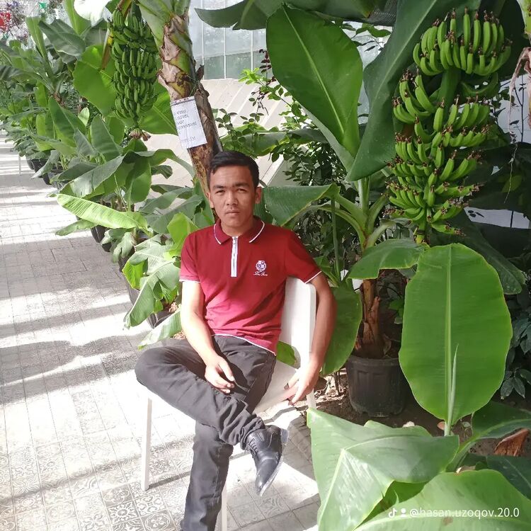  ,   Hasan, 23 ,   ,   