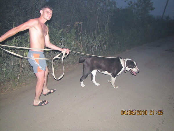 ���� 5455288 ������� ������, 45 ���, ���� ���������� � ������