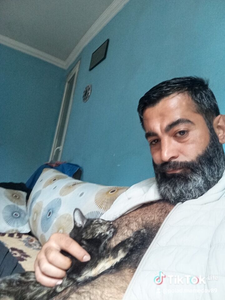 ���� 55548278 ������� Polad, 41 ���, ���� ���������� � �������