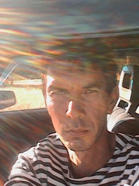  ,   Hamar, 49 ,   