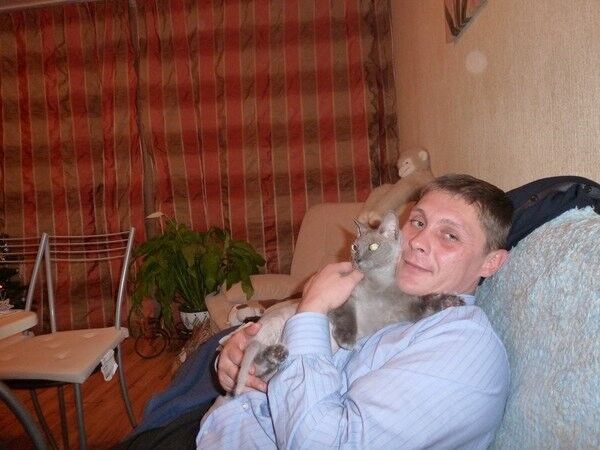 ���� 12875738 ������� �������, 48 ���, ���� ���������� � ����������