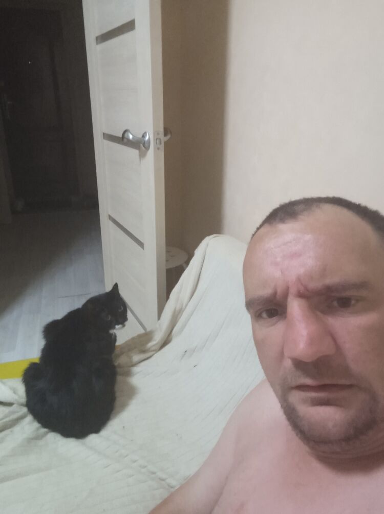  43861488  , 37 ,    