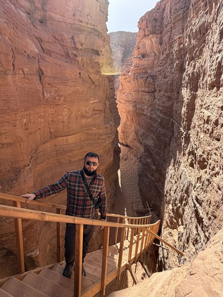 ���������� �������, ���� ������� Brat, 36 ���, ������������ 