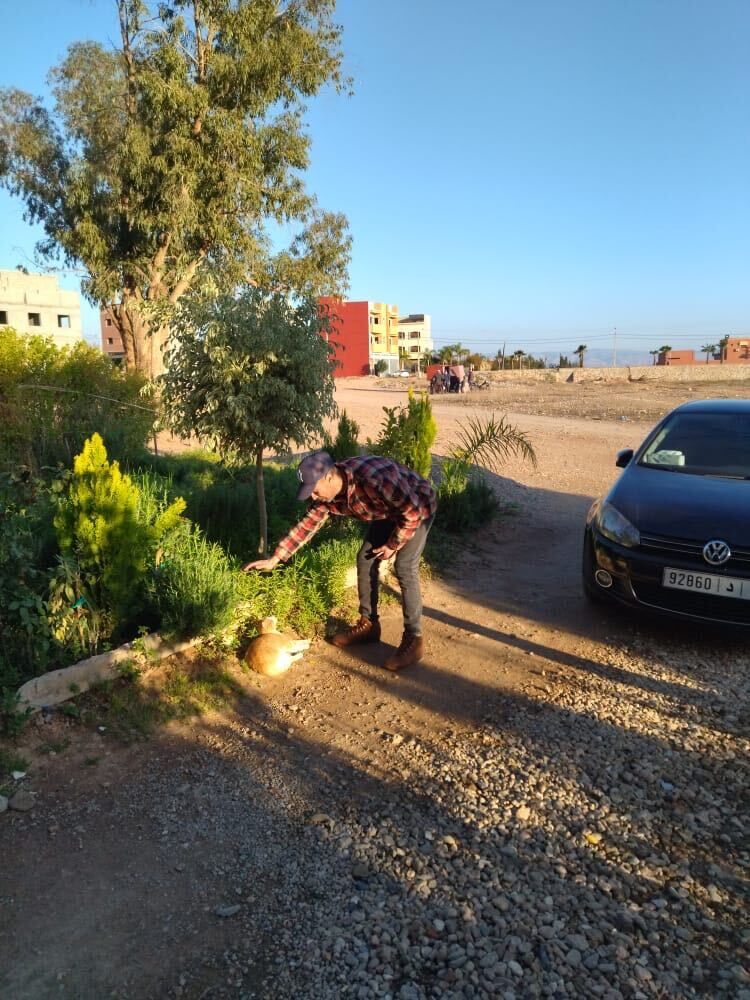  25436418  Abdo, 43 ,    