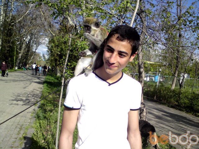  ,   Vahe, 33 ,   ,   , c 