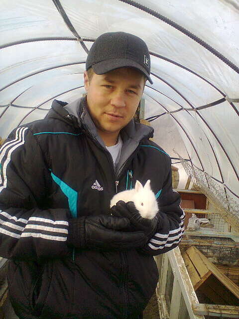 ���������� ���������, ���� ������� �������, 43 ����, ������������ ��� ����� � ���������, c�������� ���������