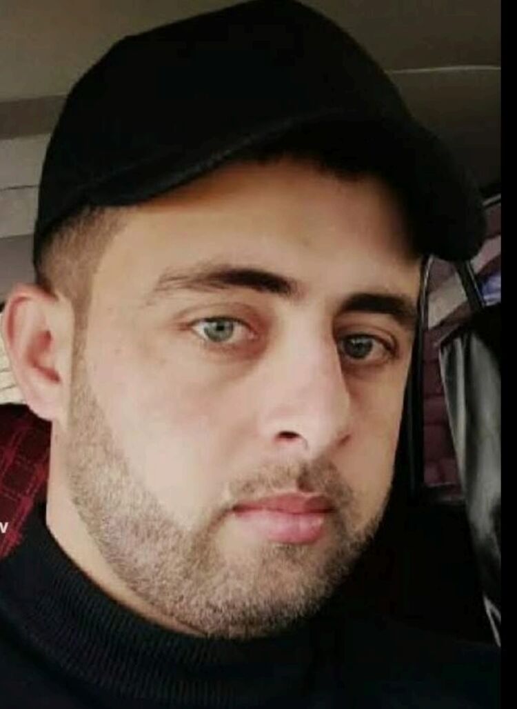  43984168  , 31 ,    