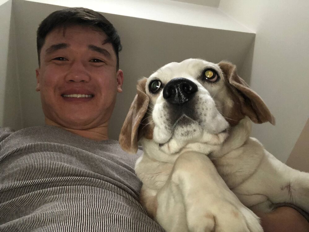  53376068  , 29 ,    -