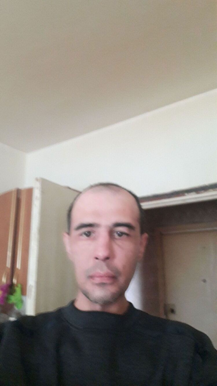  29501848  , 43 ,     
