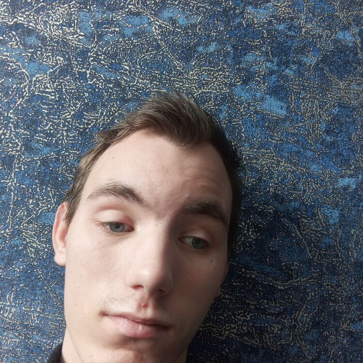  41700938  , 22 ,    