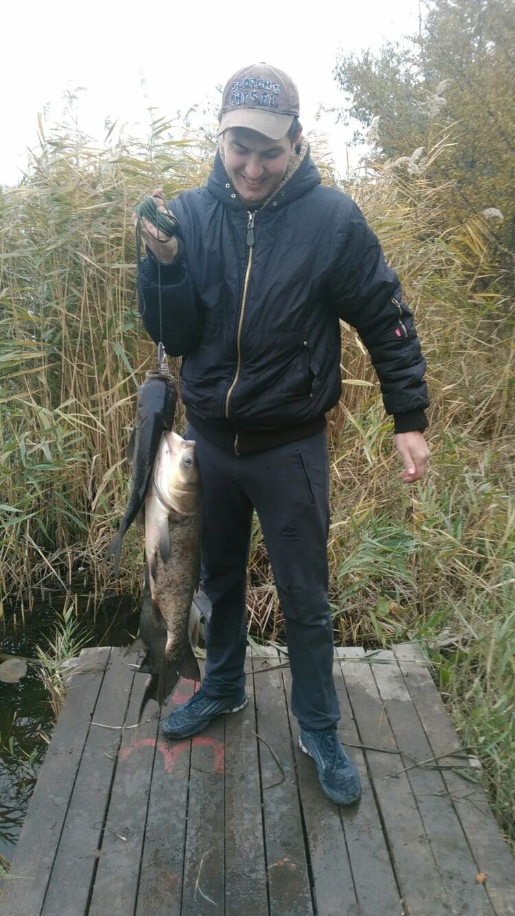 ���������� ������, ���� ������� �������, 38 ���, ������������ ��� ������, ����� � ���������, ���������