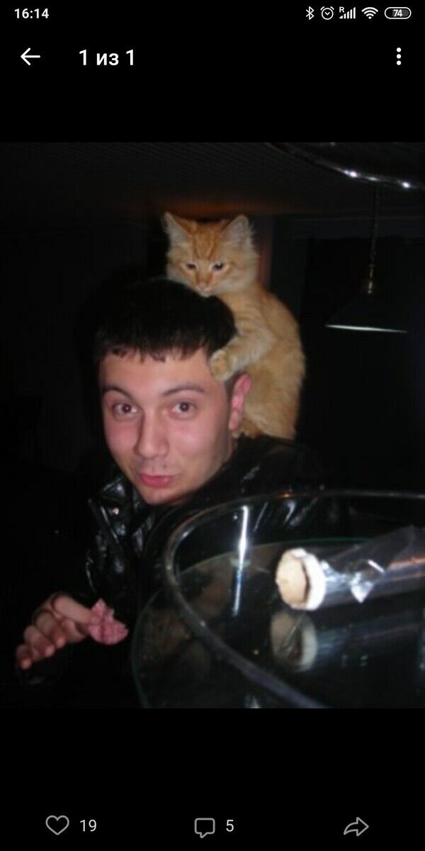 ���� 21769358 ������� �����, 35 ���, ���� ���������� � �����������