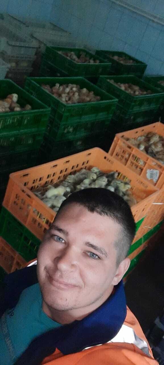 ���� 23536438 ������� �������, 37 ���, ���� ���������� � �������-��-����