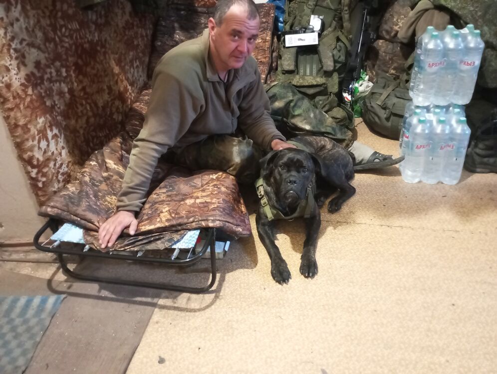 ���� 50567198 ������� �������, 49 ���, ���� ���������� � �������