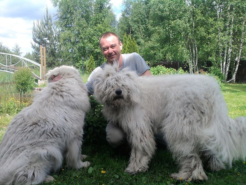 ���������� �����-���������, ���� ������� �����, 53 ����, ������������ ��� ������, ����� � ���������, c�������� ���������