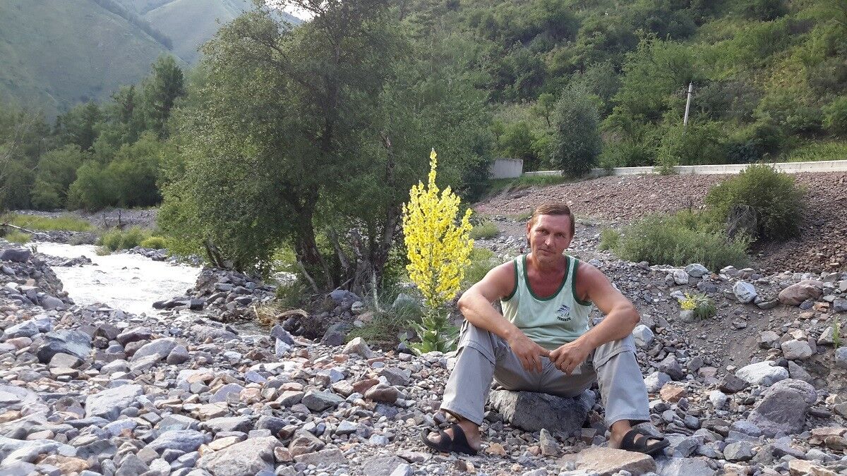 ���������� ������, ���� ������� �������, 54 ����, ������������ ��� ������