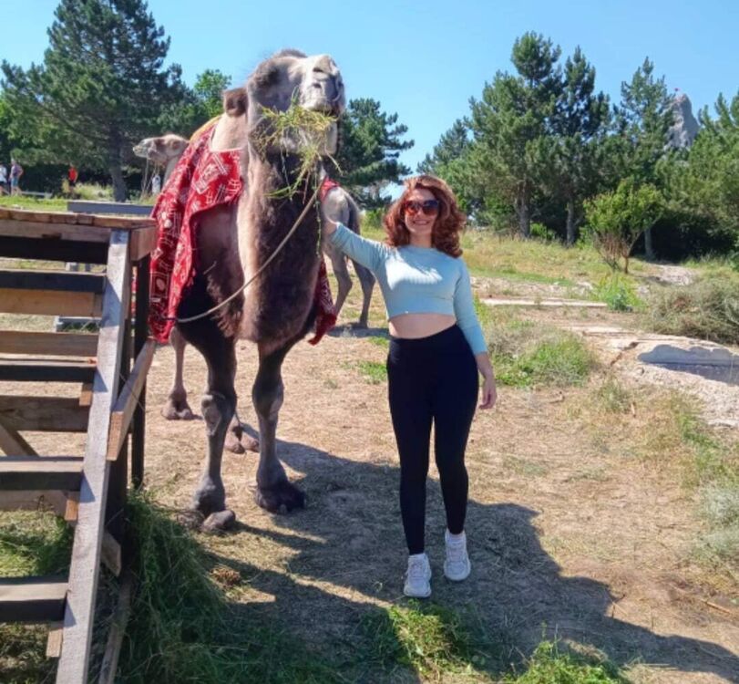 ���������� ������-��-����, ���� ������� ��������, 29 ���, ������������ ��� ������, ����� � ���������, c�������� ���������