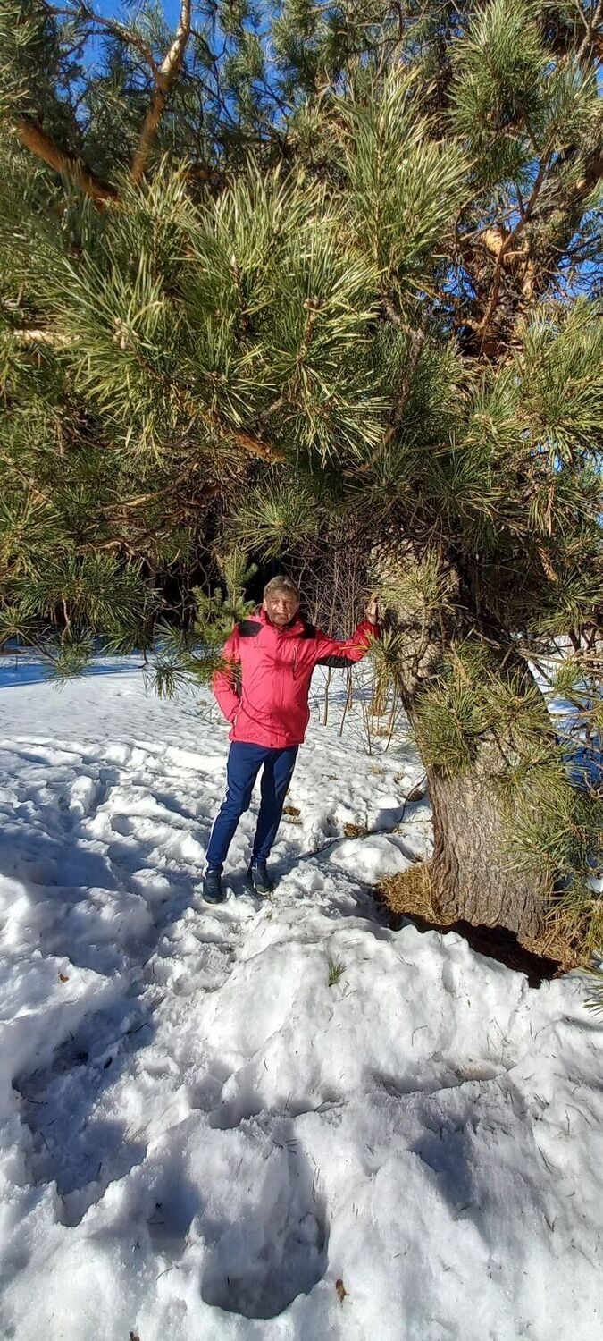 ���� 51391628 ������� ����, 62 ����, ���� ���������� � ���������