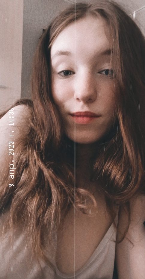  33726638  , 21 ,    -