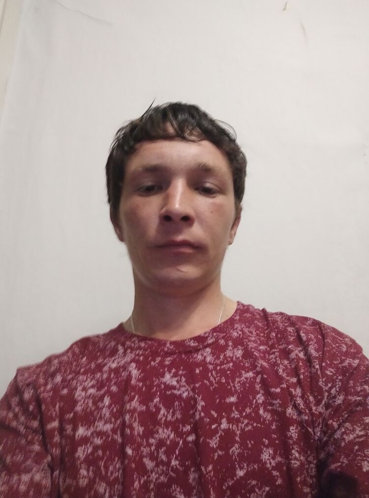  38594358  , 31 ,    