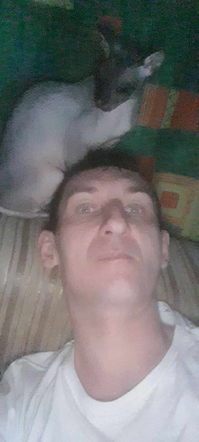 ���� 31921978 ������� ����, 43 ����, ���� ���������� � ����������