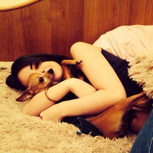 ���������� ������, ���� ������� ������, 33 ����, ������������ ��� ������, ����� � ���������, c�������� ���������