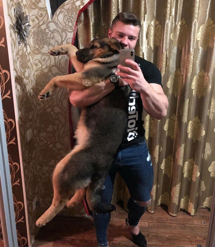 ���������� ����, ���� ������� Egor, 30 ���, ������������ ��� ������, ����� � ���������, c�������� ���������