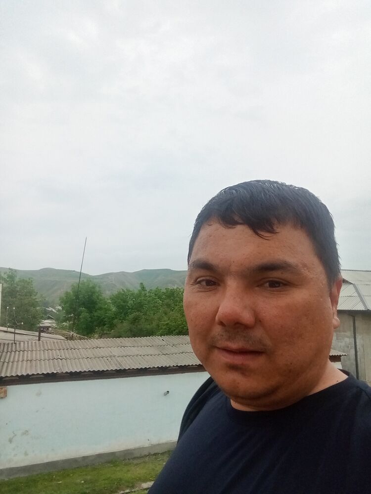  52208278  , 40 ,    