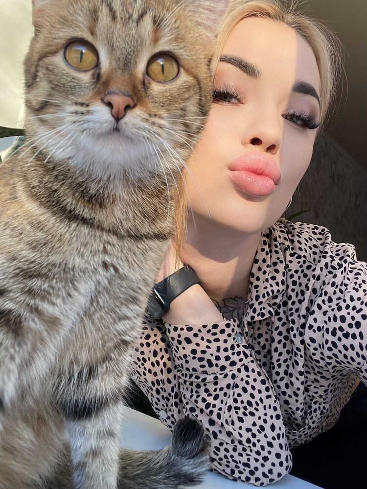 ���� 40616868 ������� �������, 29 ���, ���� ���������� � ������