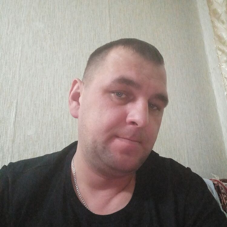  ,   Barsik, 42 ,   ,   