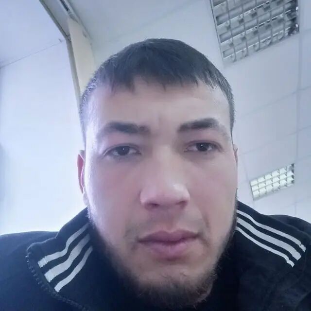 ���� 43941278 ������� �����������, 29 ���, ���� ���������� � ������