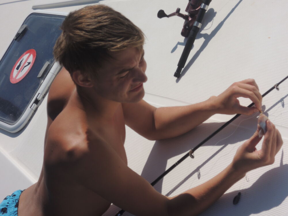 ���� 36946168 ������� ����, 33 ����, ���� ���������� � ������������