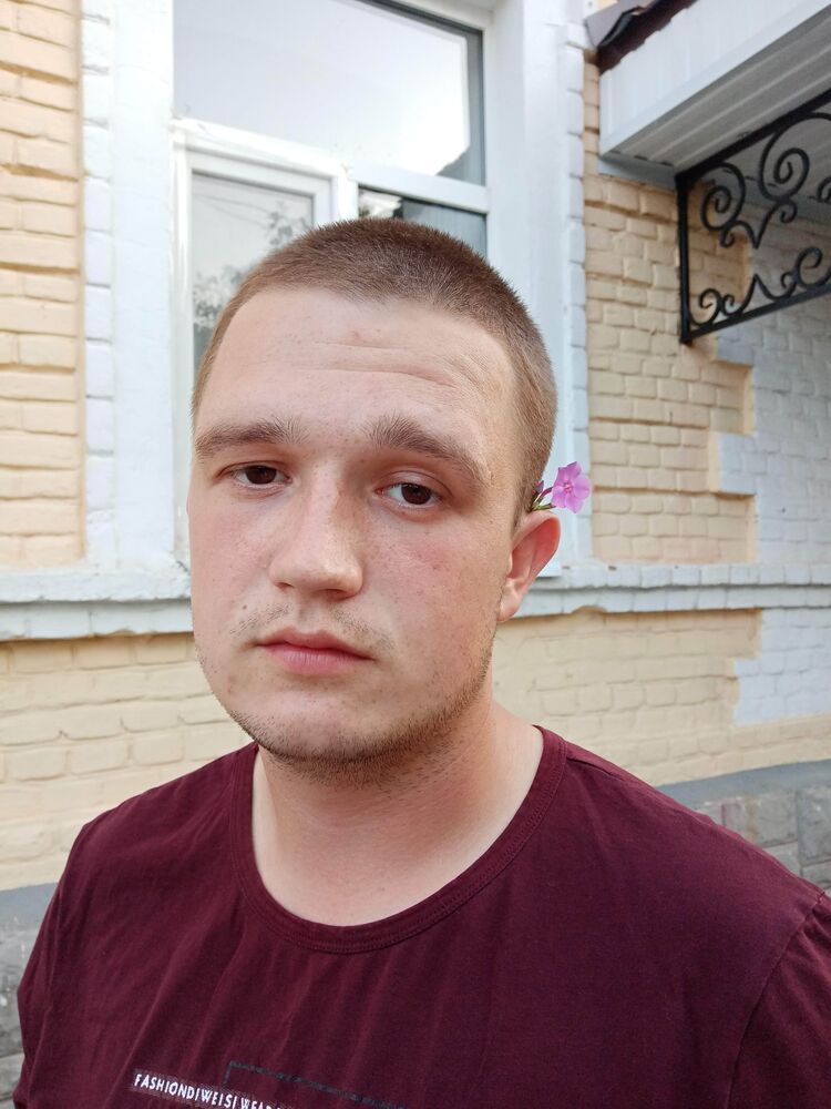 ���� 54531288 ������� Teli, 29 ���, ���� ���������� � �������������