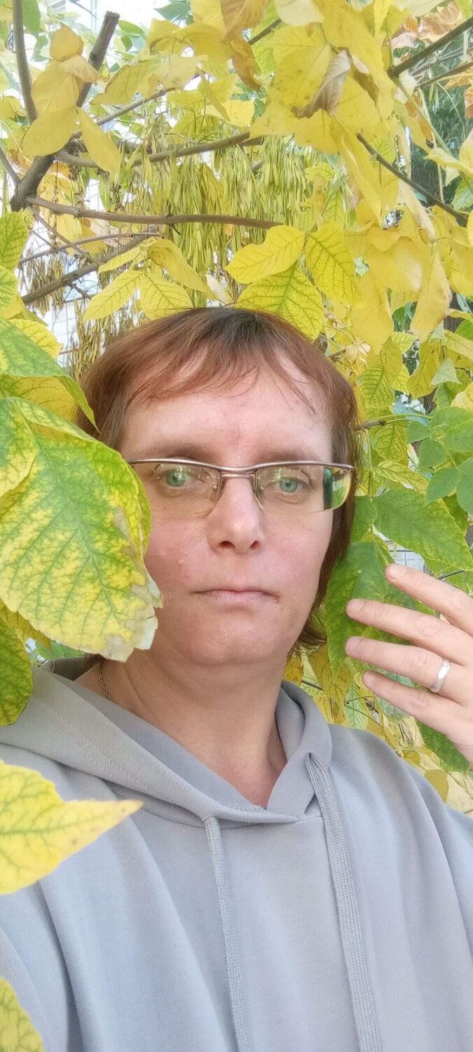 ���� 56019308 ������� ���������, 40 ���, ���� ���������� � ����������