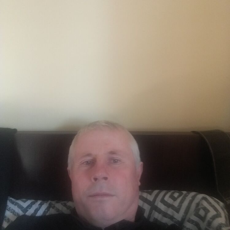  Ostrowiec Swietokrzyski,   , 52 ,     , c , 