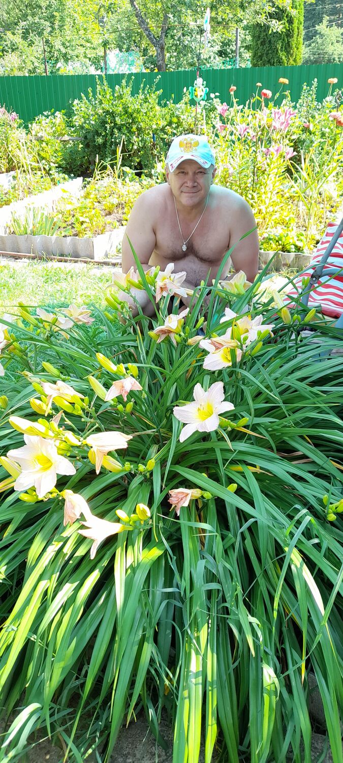 ���� 28431988 ������� ������, 48 ���, ���� ���������� � �������